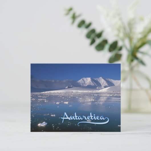 Antarctica Briefkaart (Staand voorkant)