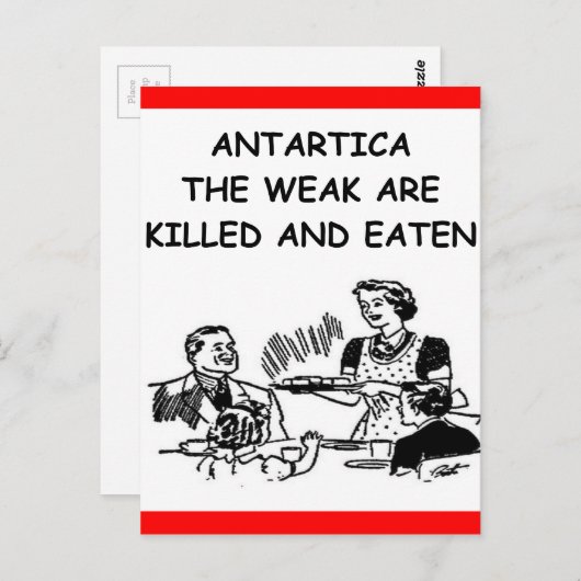 antarctica briefkaart (Voorkant / Achterkant)
