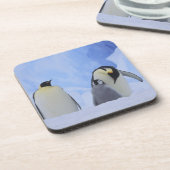 Antarctica. Emperor penguins & chick Bier Onderzetter (Linkerzijde)