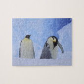Antarctica. Emperor penguins & chick Legpuzzel (Horizontaal)