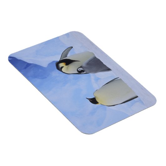 Antarctica. Emperor penguins & chick Magneet (Rechterzijde)