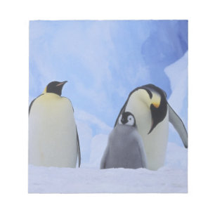 Antarctica. Emperor penguins & chick Notitieblok