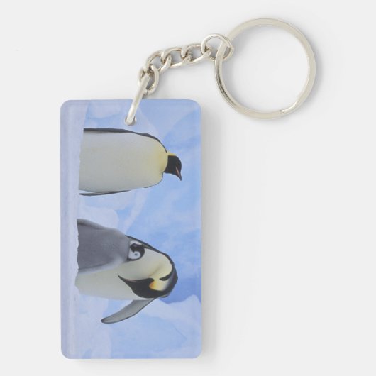 Antarctica. Emperor penguins & chick Sleutelhanger (achterkant)