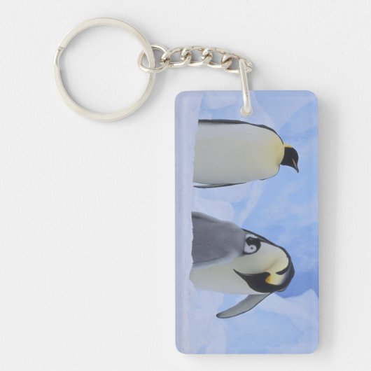 Antarctica. Emperor penguins & chick Sleutelhanger (Voorkant)