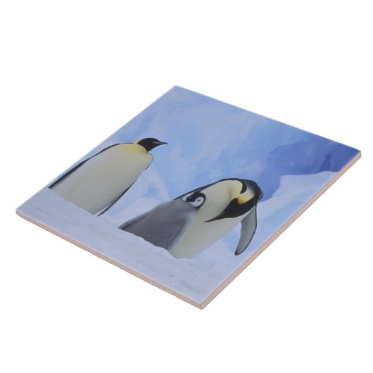 Antarctica. Emperor penguins & chick Tegeltje (Zijkant)