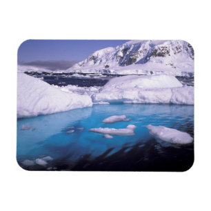 Antarctica. Expeditie door ijslandschappen 2 Magneet