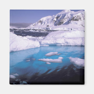 Antarctica. Expeditie door ijsscènes 2 Magneet
