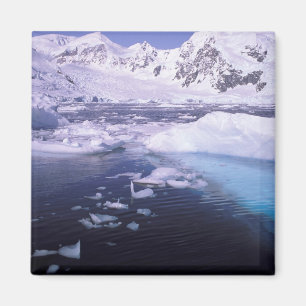 Antarctica. Expeditie door ijsscènes Magneet