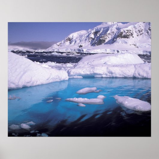 Antarctica. Expedition through icescape 2 Poster (Voorkant)