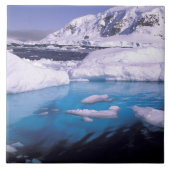 Antarctica. Expedition through icescape 2 Tegeltje (Voorkant)