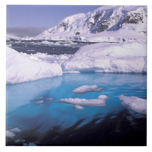 Antarctica. Expedition through icescape 2 Tegeltje (Voorkant)