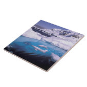 Antarctica. Expedition through icescape 2 Tegeltje (Zijkant)