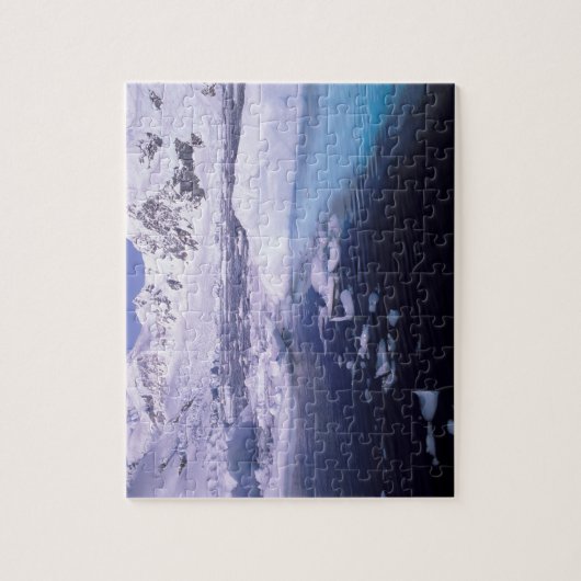 Antarctica. Expedition through icescape Legpuzzel (Verticaal)