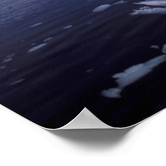 Antarctica. Expedition through icescape Poster (Hoek)