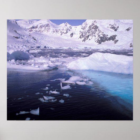 Antarctica. Expedition through icescape Poster (Voorkant)