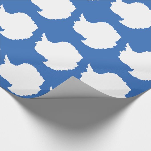 Antarctica Flag Cadeaupapier (Hoek)