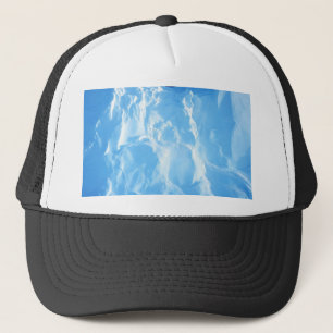 Antarctica Ice Trucker Pet