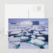 Antarctica, Ijsstroming. Briefkaart (Voorkant / Achterkant)