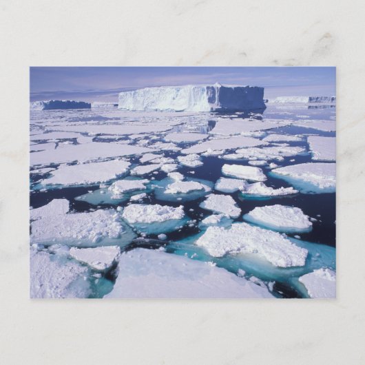 Antarctica, Ijsstroming. Briefkaart (Voorkant)