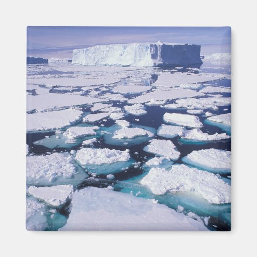 Antarctica, Ijsstroming. Magneet (Voorkant)