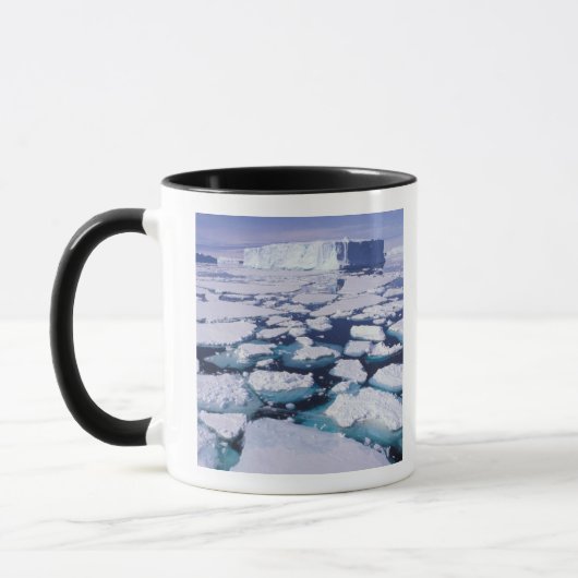 Antarctica, Ijsstroming. Mok (Links)