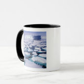 Antarctica, Ijsstroming. Mok (Voorkant links)