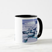 Antarctica, Ijsstroming. Mok (Voorkant rechts)