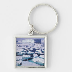 Antarctica, Ijsstroming. Sleutelhanger