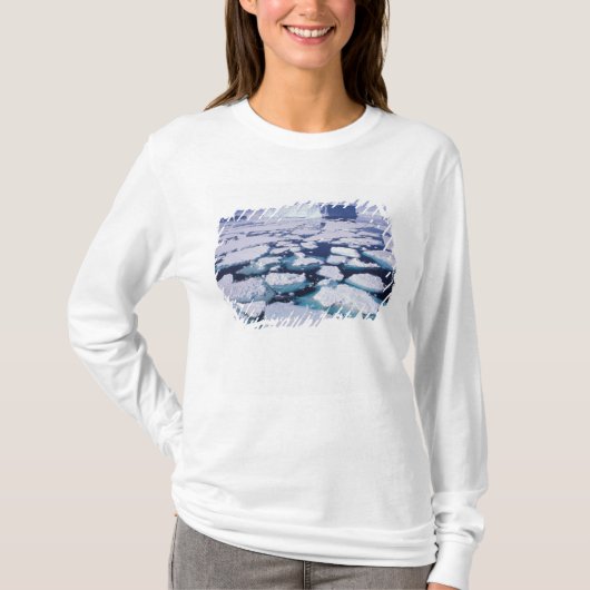 Antarctica, Ijsstroming. T-shirt (Voorkant)