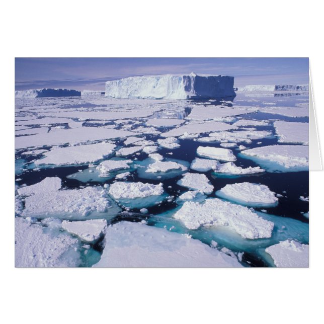 Antarctica, ijsstroom. (Voorkant Horizontaal)