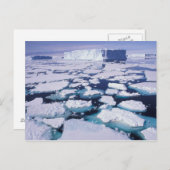 Antarctica, ijsstroom. briefkaart (Voorkant / Achterkant)