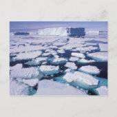 Antarctica, ijsstroom. briefkaart (Voorkant)