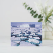 Antarctica, ijsstroom. briefkaart (Staand voorkant)