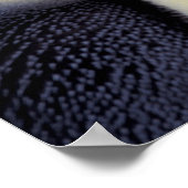 Antarctica, keizer Penguin (Aptenodytes 2 Poster (Hoek)