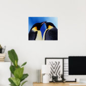 Antarctica, keizer Penguin (Aptenodytes 2 Poster (Thuiskantoor)