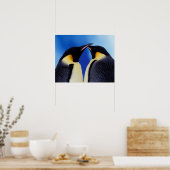 Antarctica, keizer Penguin (Aptenodytes 2 Poster (Keuken)