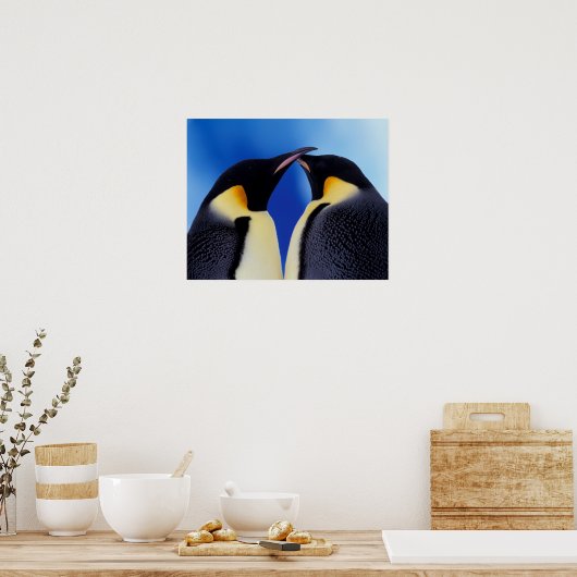 Antarctica, keizer Penguin (Aptenodytes 2 Poster (Keuken)