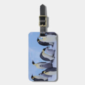 Antarctica, keizerspinguïns bagagelabel (Voorkant verticaal)