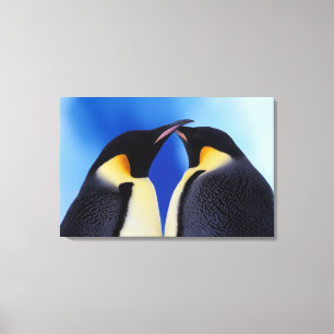 Antarctica, keizerspinguïns canvas afdruk