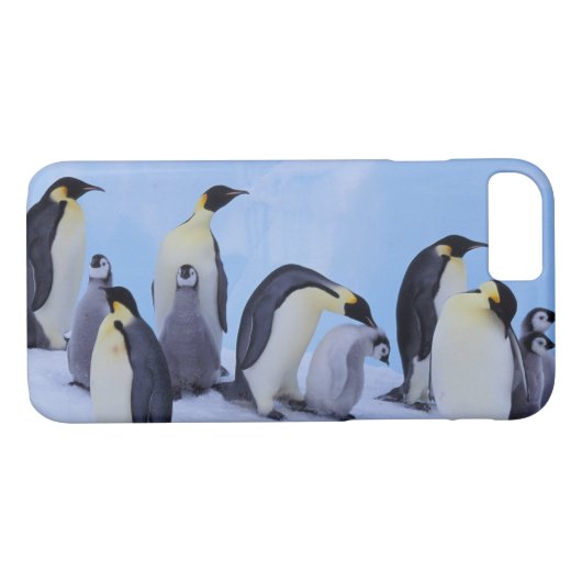 Antarctica, keizerspinguïns Case-Mate iPhone case (Achterkant (Horizontaal))