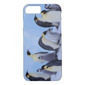 Antarctica, keizerspinguïns Case-Mate iPhone case (Achterkant)