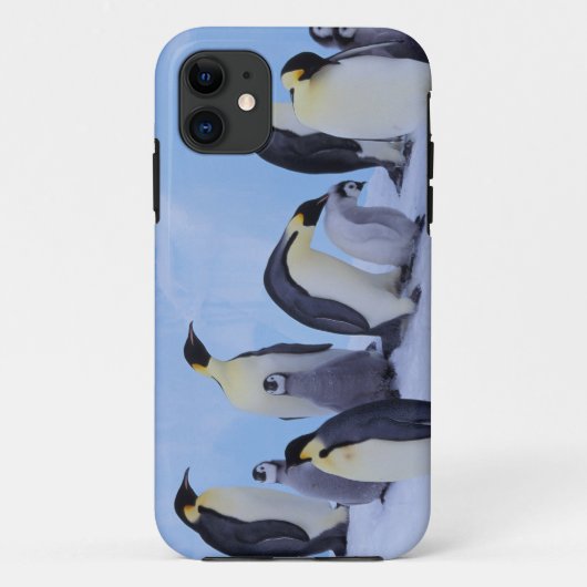Antarctica, keizerspinguïns Case-Mate iPhone case (Achterkant)