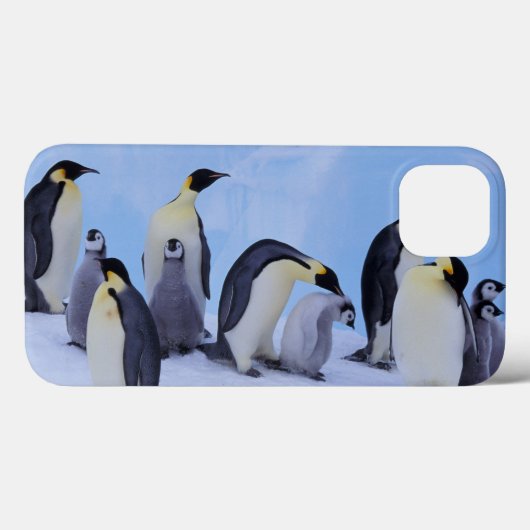 Antarctica, keizerspinguïns Case-Mate iPhone case (Achterkant (horizontaal))