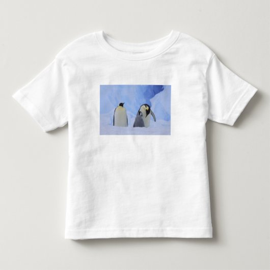 Antarctica. Keizerspinguïns en jong Kinder Shirts (Voorkant)