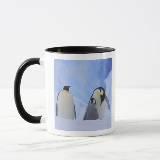 Antarctica. Keizerspinguïns en jong Mok (Links)