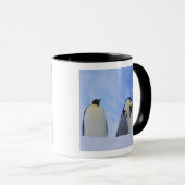 Antarctica. Keizerspinguïns en jong Mok (Voorkant rechts)