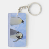 Antarctica. Keizerspinguïns en jong Sleutelhanger (achterkant)