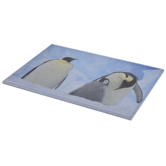 Antarctica. Keizerspinguïns en jong Snijplank (Hoek)