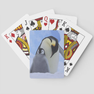 Antarctica. Keizerspinguïns en jong Speelkaarten