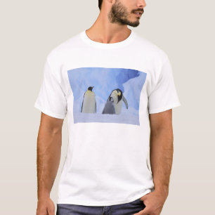 Antarctica. Keizerspinguïns en jong T-shirt